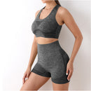 Conjunto Esportivo Feminino Top e Short sem Costura Ferrazi