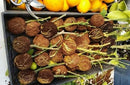 Kit Caixas de Enraizamento para Clonagem de Plantas | Alporquia