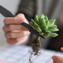 Kit Completo de Ferramentas para Jardinagem Manuais