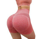 Short Legging Feminino Cintura Alta Modelador Ferrazi