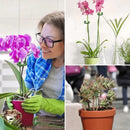 Suporte Inteligente Adaptável para Plantas | PlantFlex